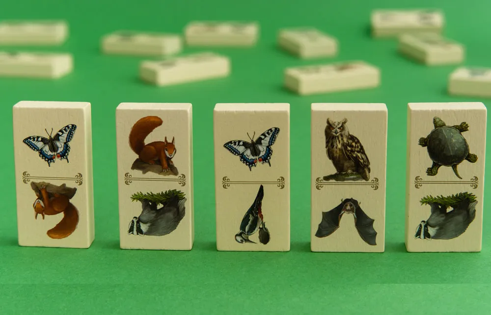 Capstone Games Renature Brettspiel Familie Legespiel