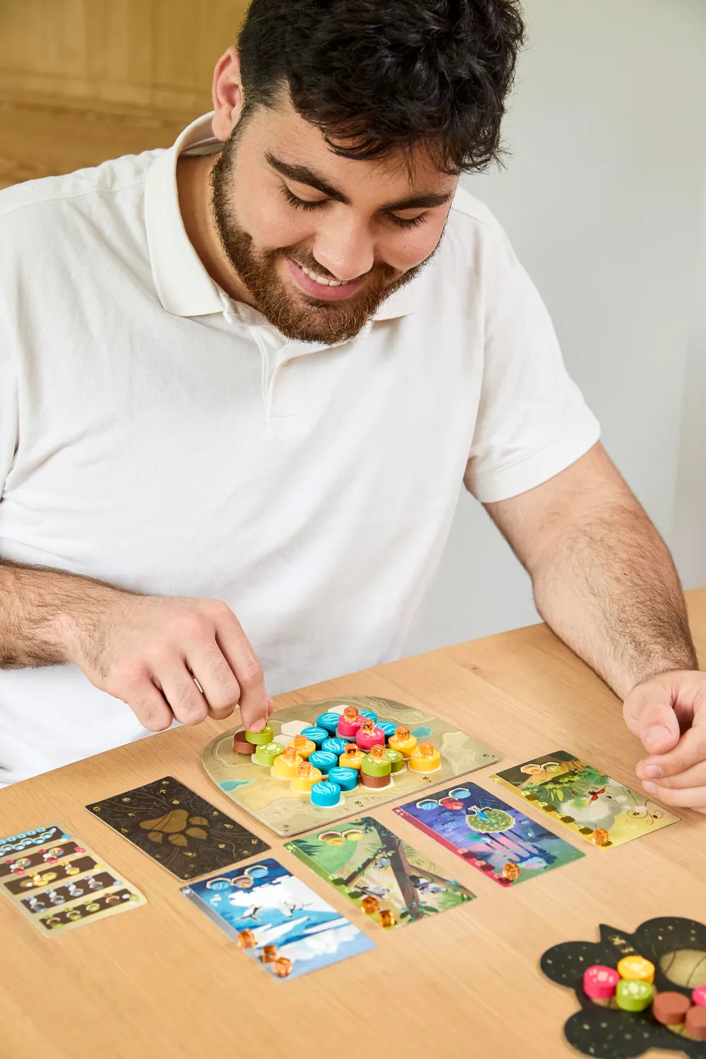 Asmodee Harmonies Brettspiel Deutsch Tier-Landschaften