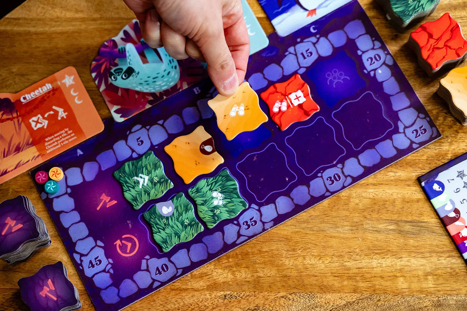 Capstone Games Night at the Zoo Brettspiel Familienspiel