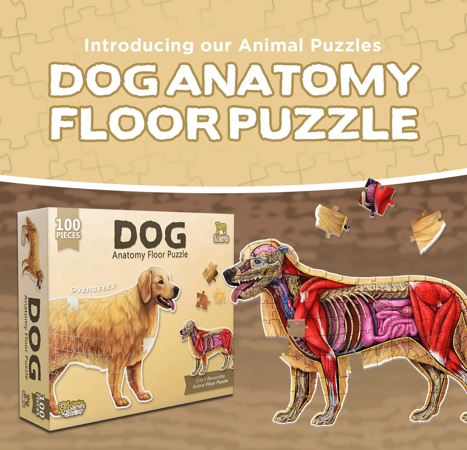 Genius Games Turn N Learn Hund Bodenpuzzle 100 Teile