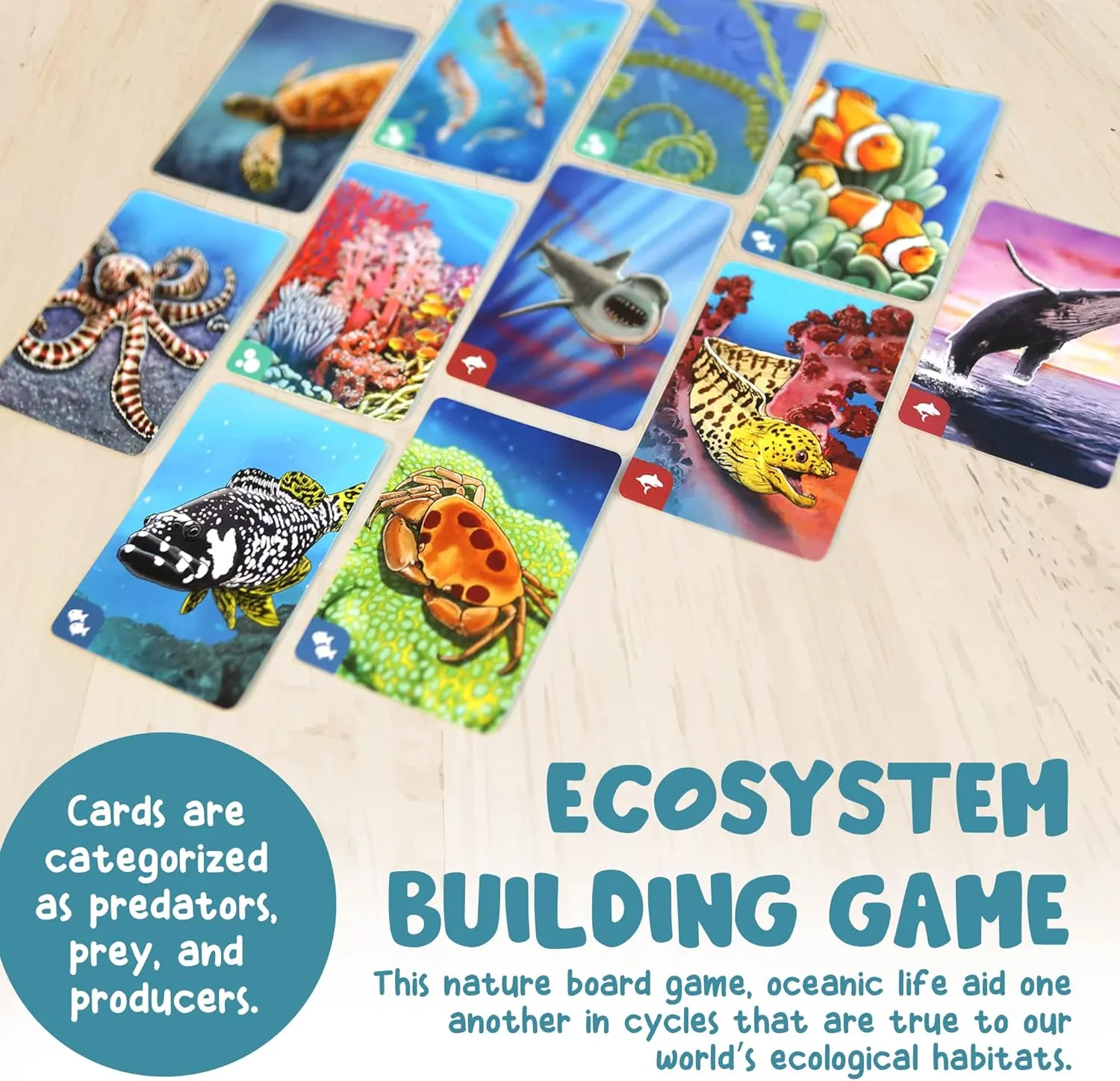 Genius Games Ecosystem Coral Reef Kartenspiel 2-6 Spieler Familie