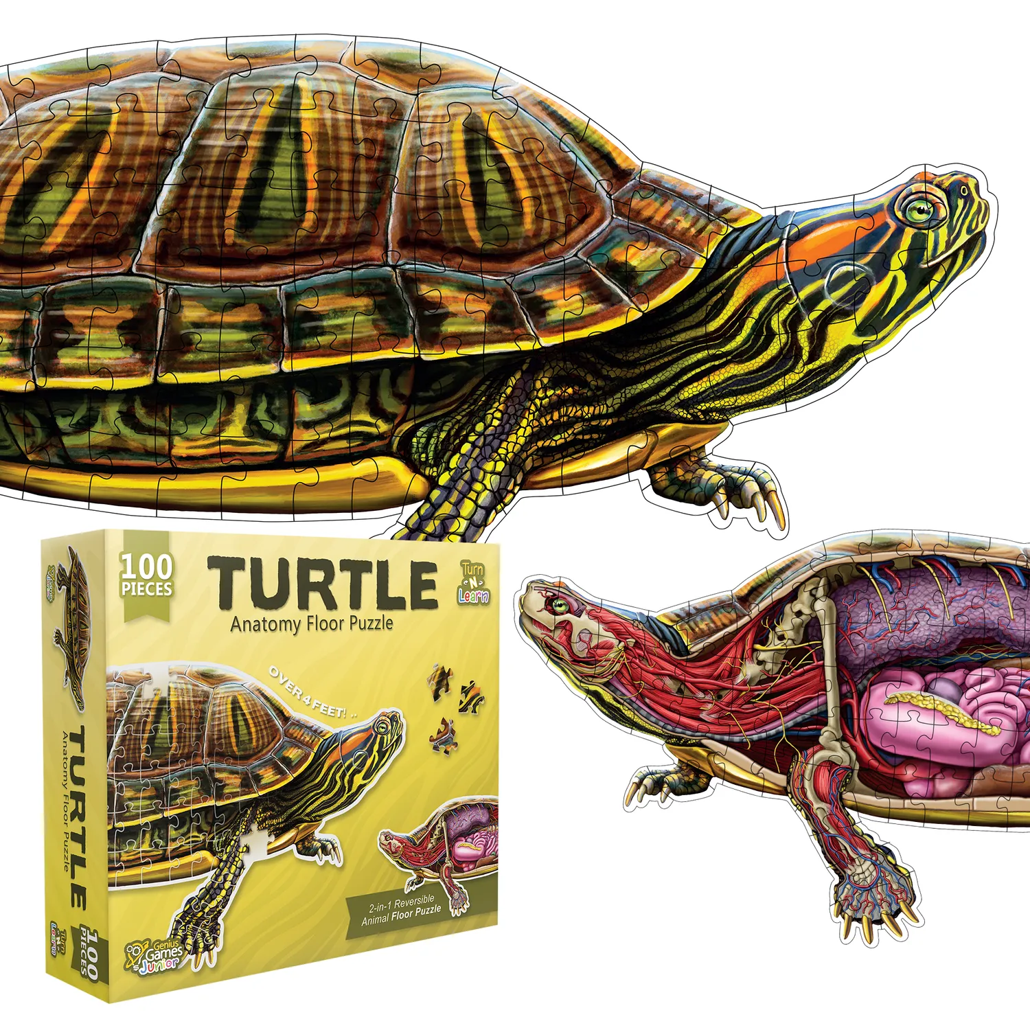 Genius Games Pond Slider Schildkröte Bodenpuzzle 100 Teile 2-seitig