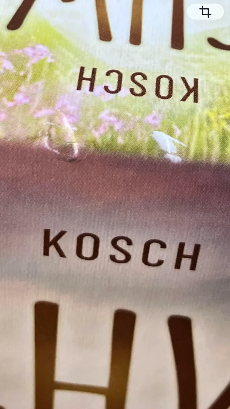 Asmodee Mischwald Dartmoor Grundspiel Kennerspiel deutsch