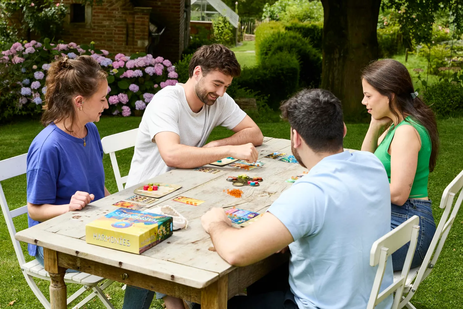 Asmodee Harmonies Brettspiel Deutsch Tier-Landschaften