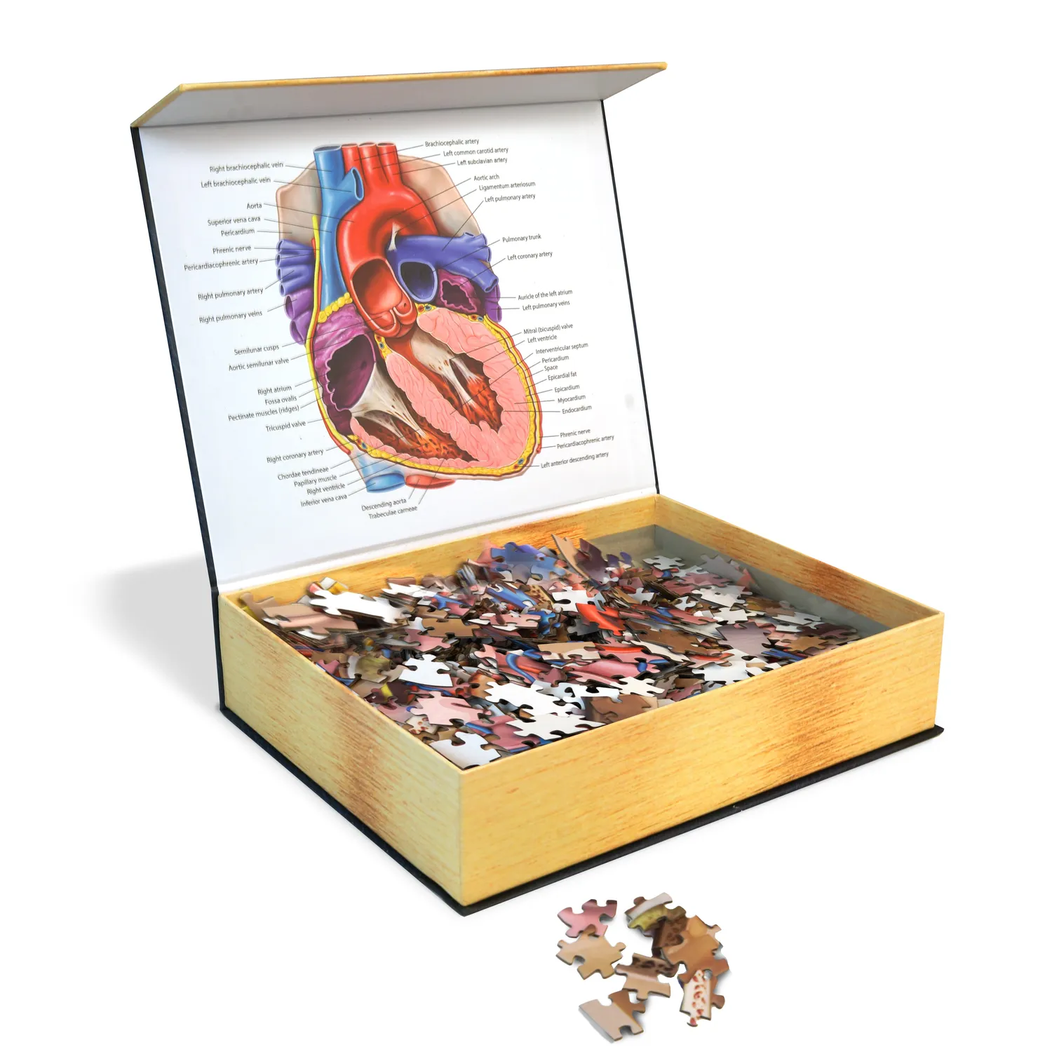 Genius Games Dr. Livingston Herz Puzzle 597 Teile