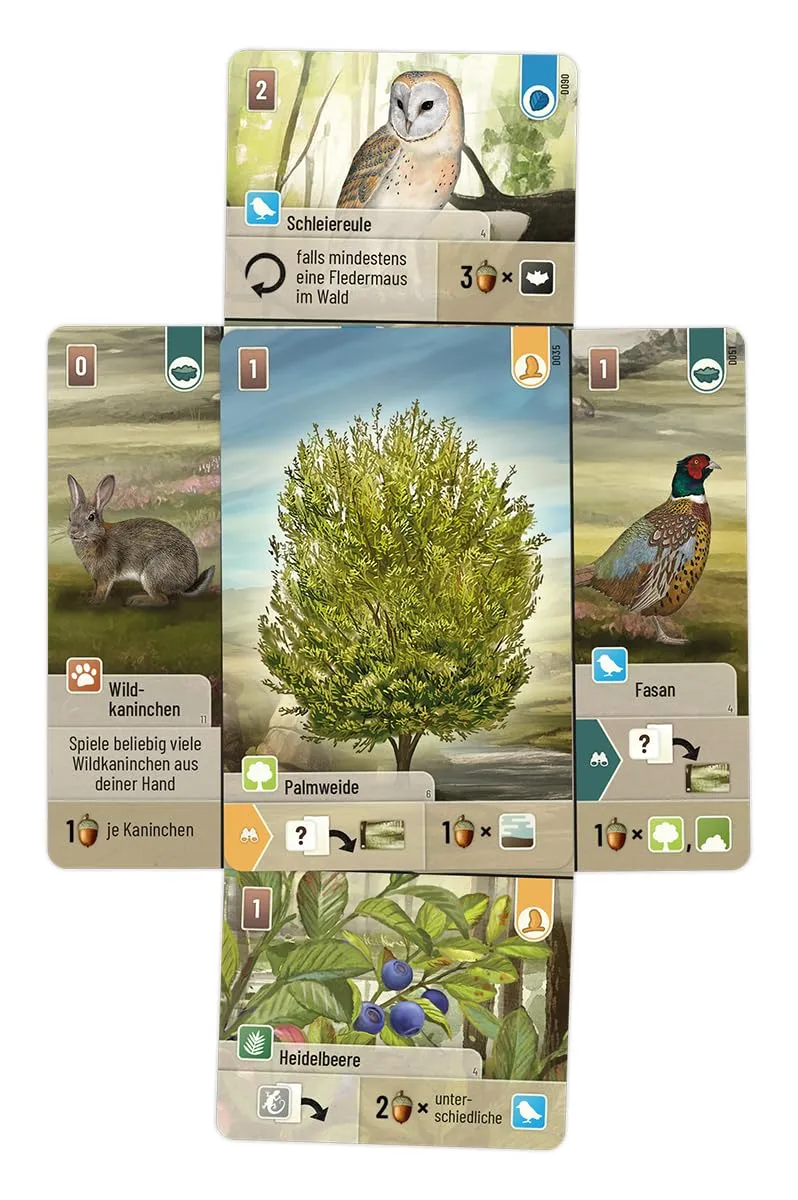 Asmodee Mischwald Dartmoor Grundspiel Kennerspiel deutsch