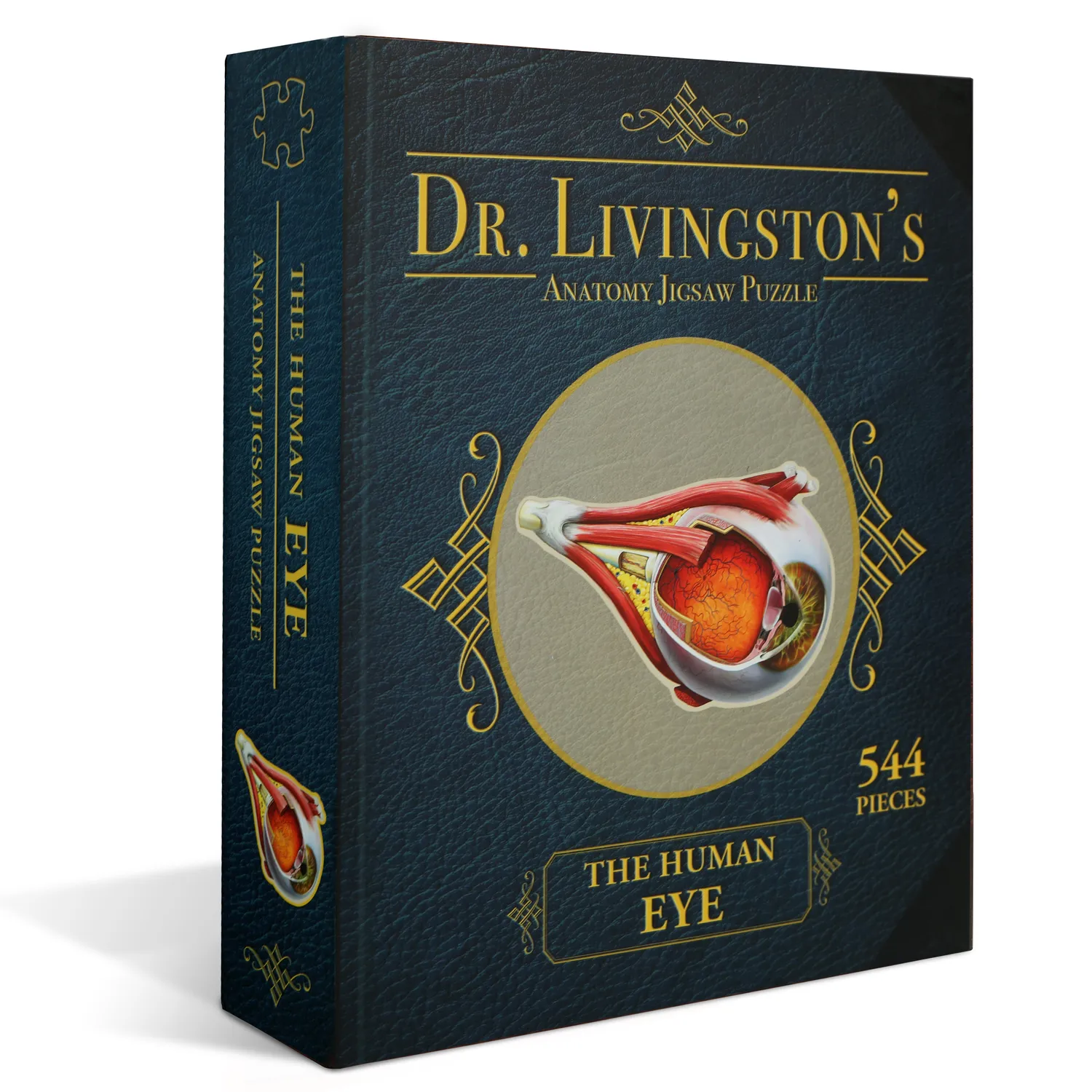Genius Games Dr. Livingston Human Eye Puzzle 544 Teile