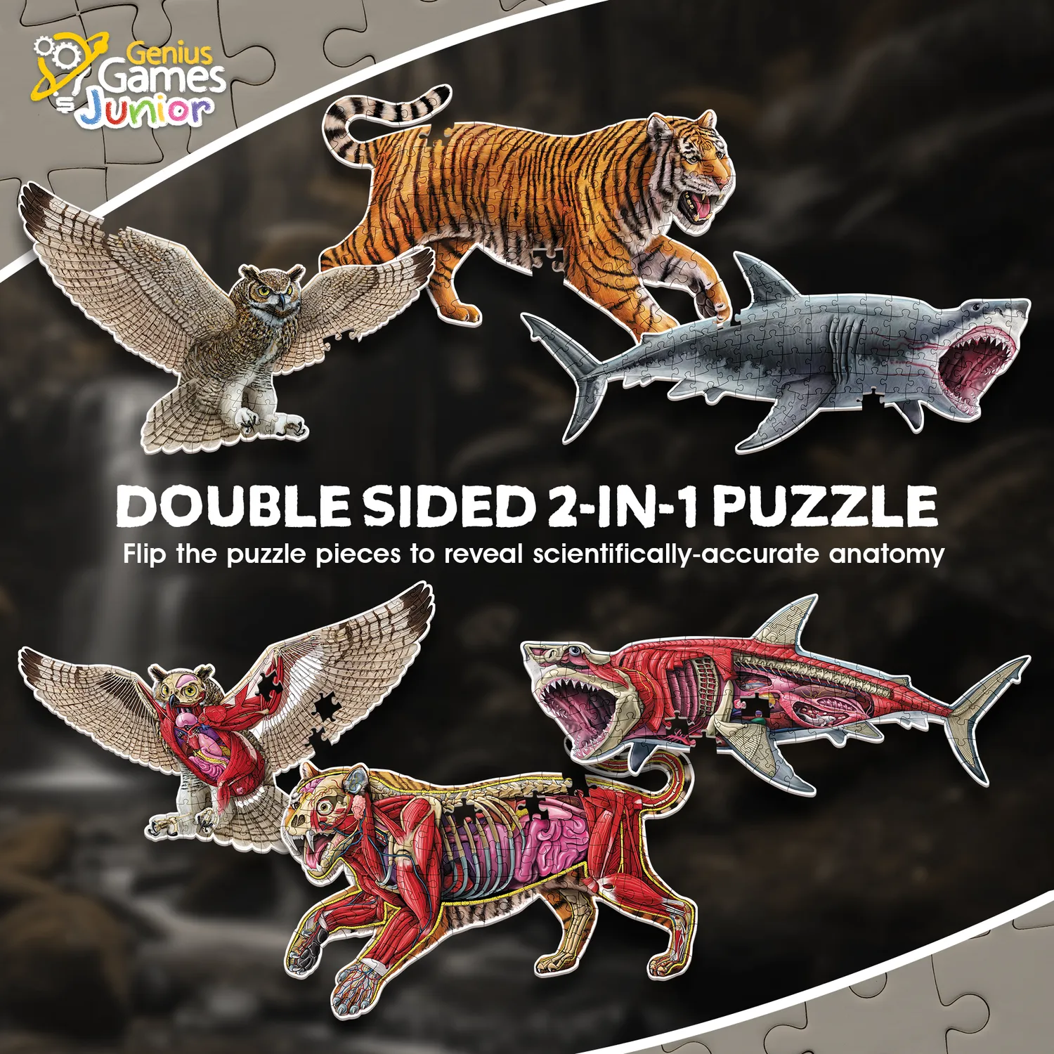Genius Games Tiger Hai Eule Bodenpuzzle 3x100 Teile Set