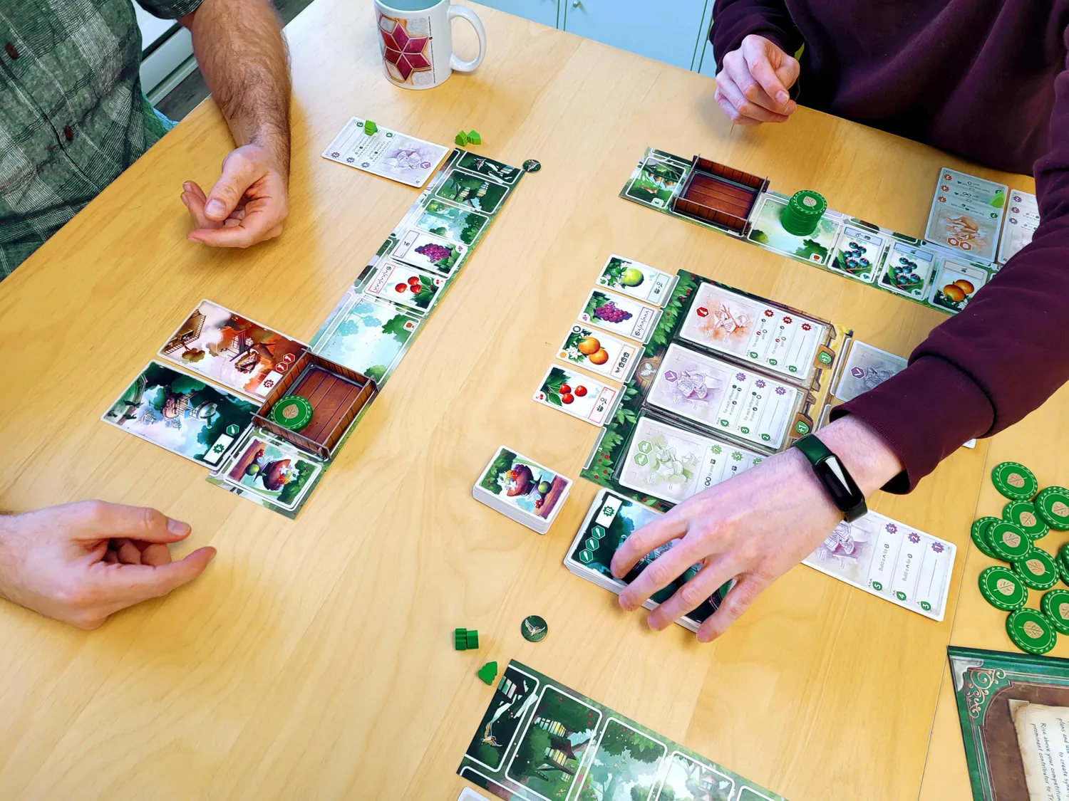 Asmodee Tree Society Familienspiel Deutsch Gilden