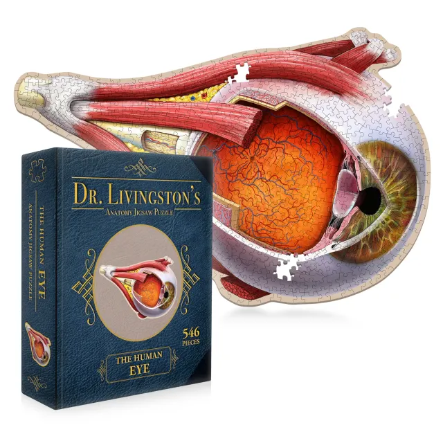 Genius Games Dr. Livingston Human Eye Puzzle 544 Teile
