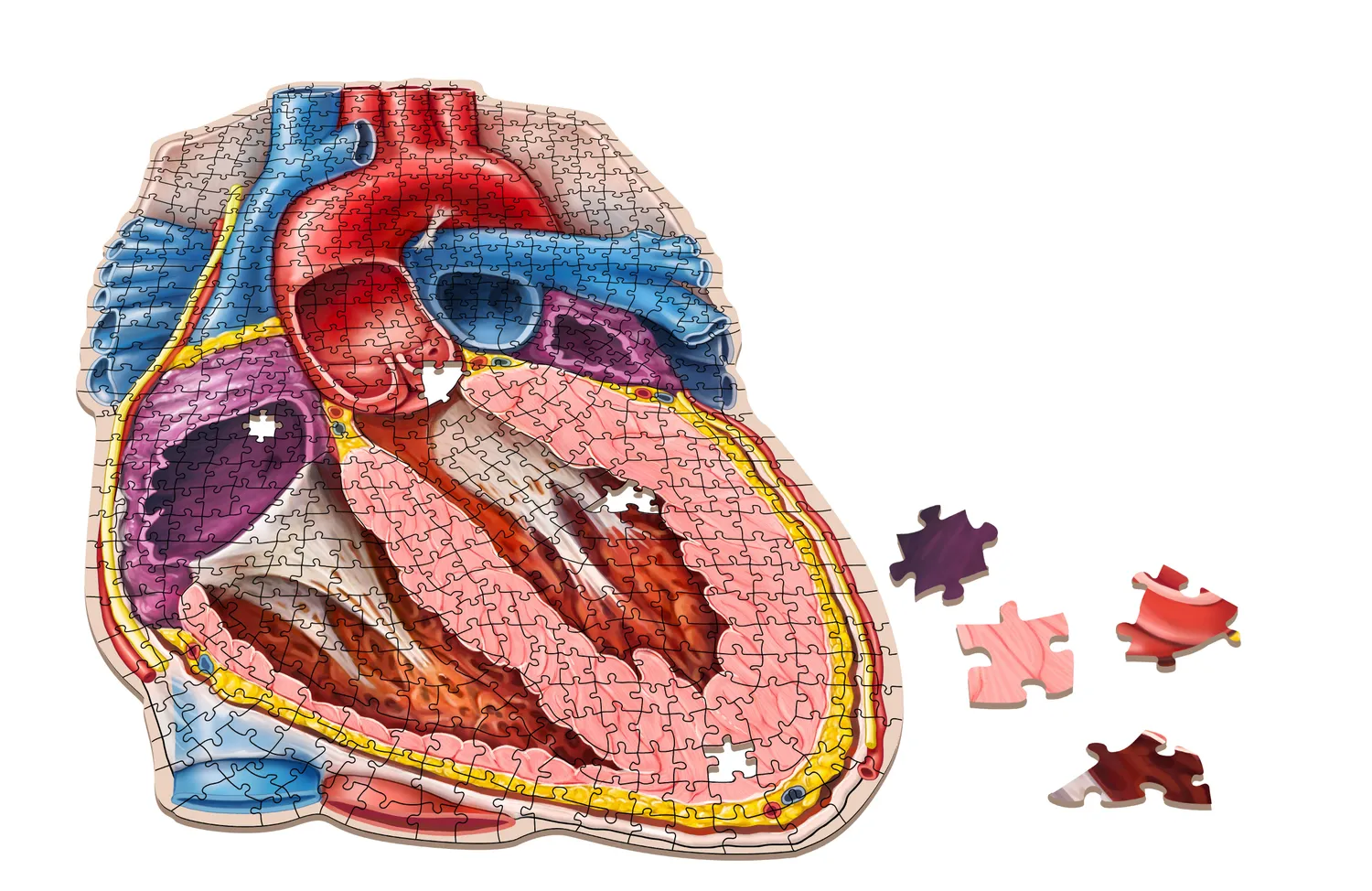 Genius Games Dr. Livingston Herz Puzzle 597 Teile