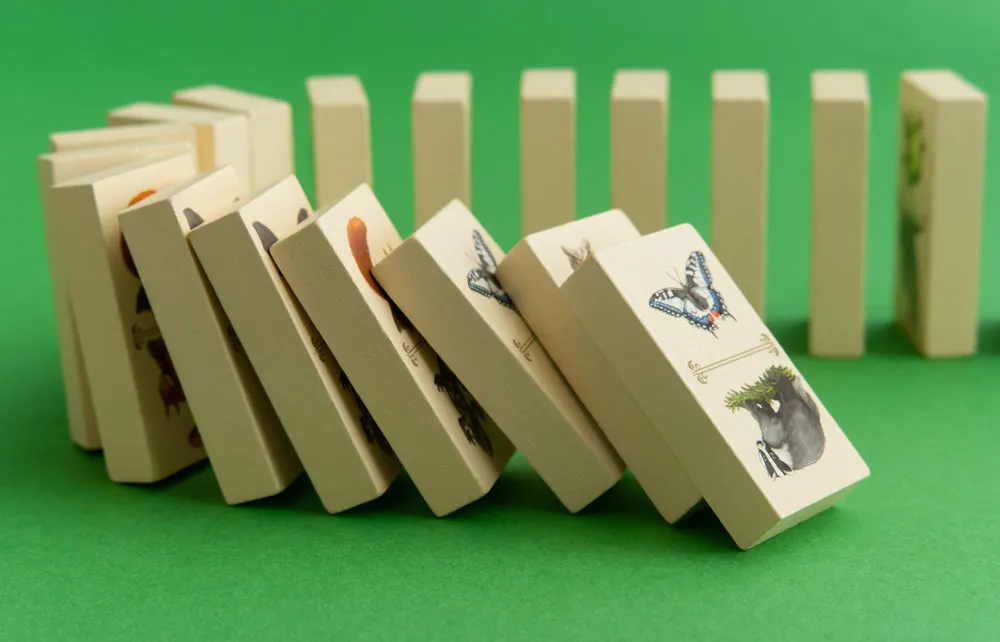 Capstone Games Renature Brettspiel Familie Legespiel