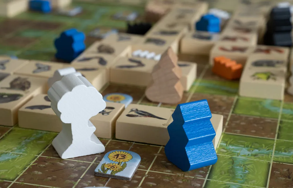 Capstone Games Renature Brettspiel Familie Legespiel
