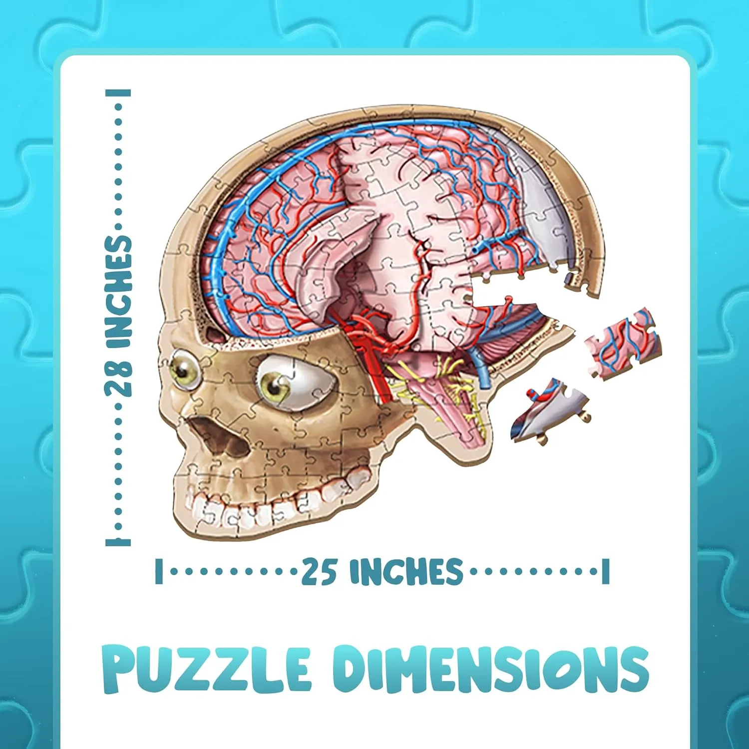 Genius Games Dr Livingston's Jr Gehirn Bodenpuzzle 100 Teile