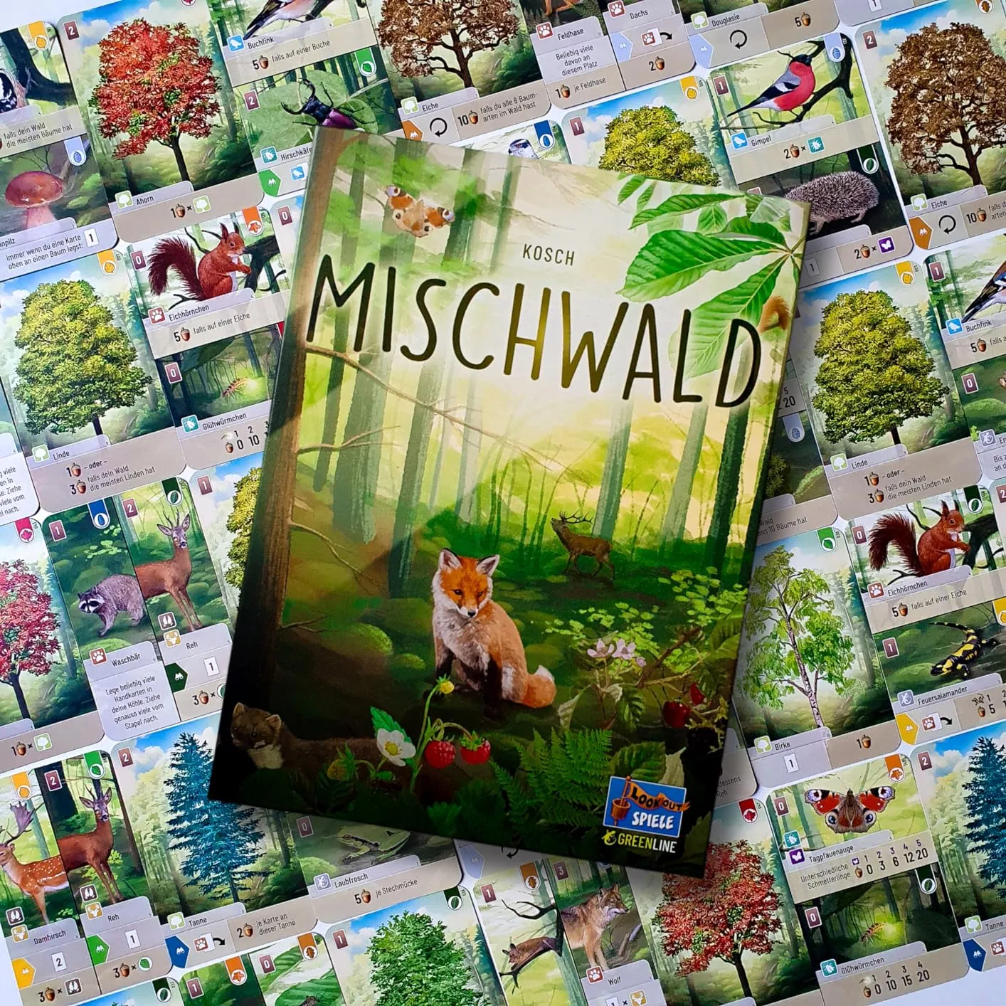 Asmodee Mischwald Grundspiel Familienspiel Deutsch