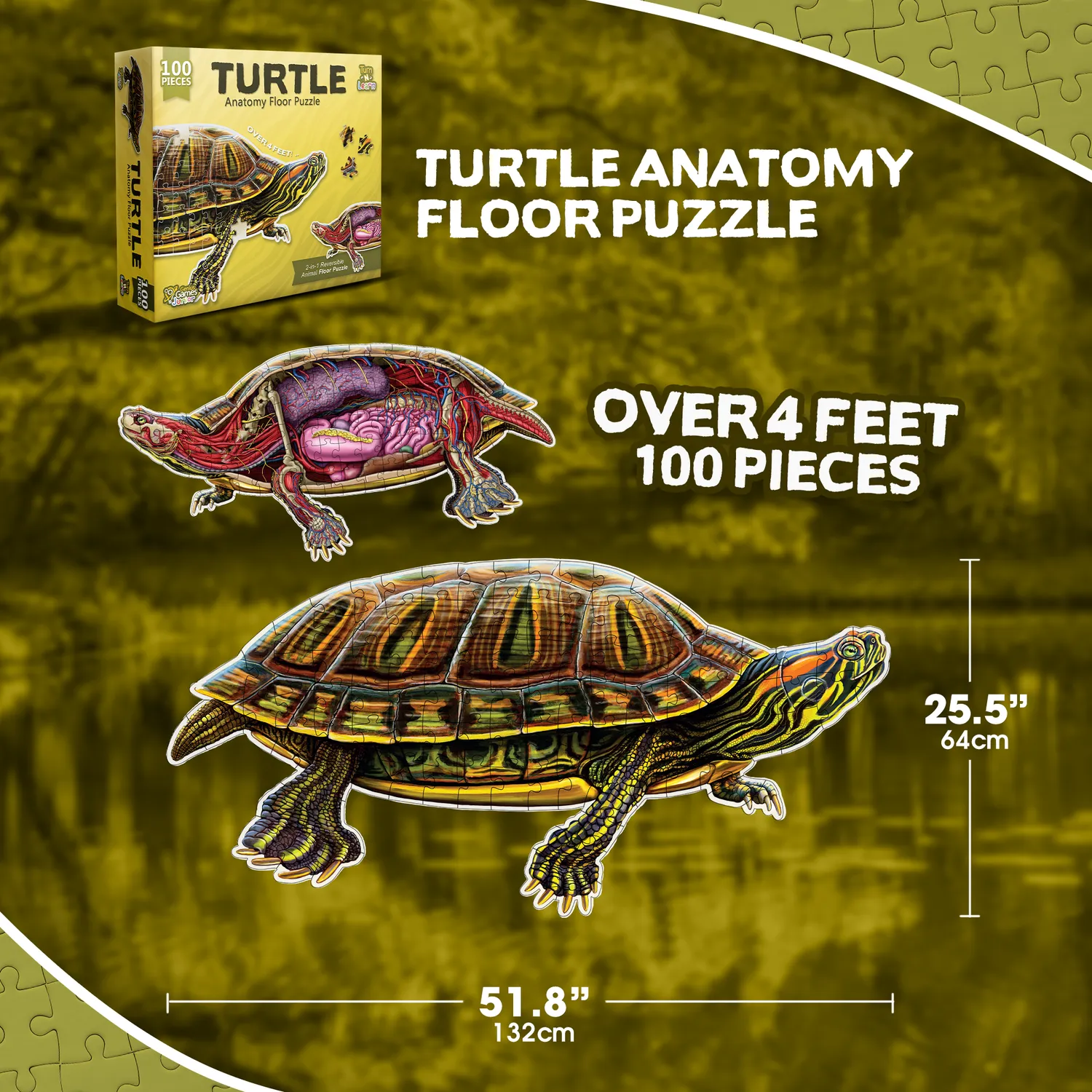 Genius Games Pond Slider Schildkröte Bodenpuzzle 100 Teile 2-seitig