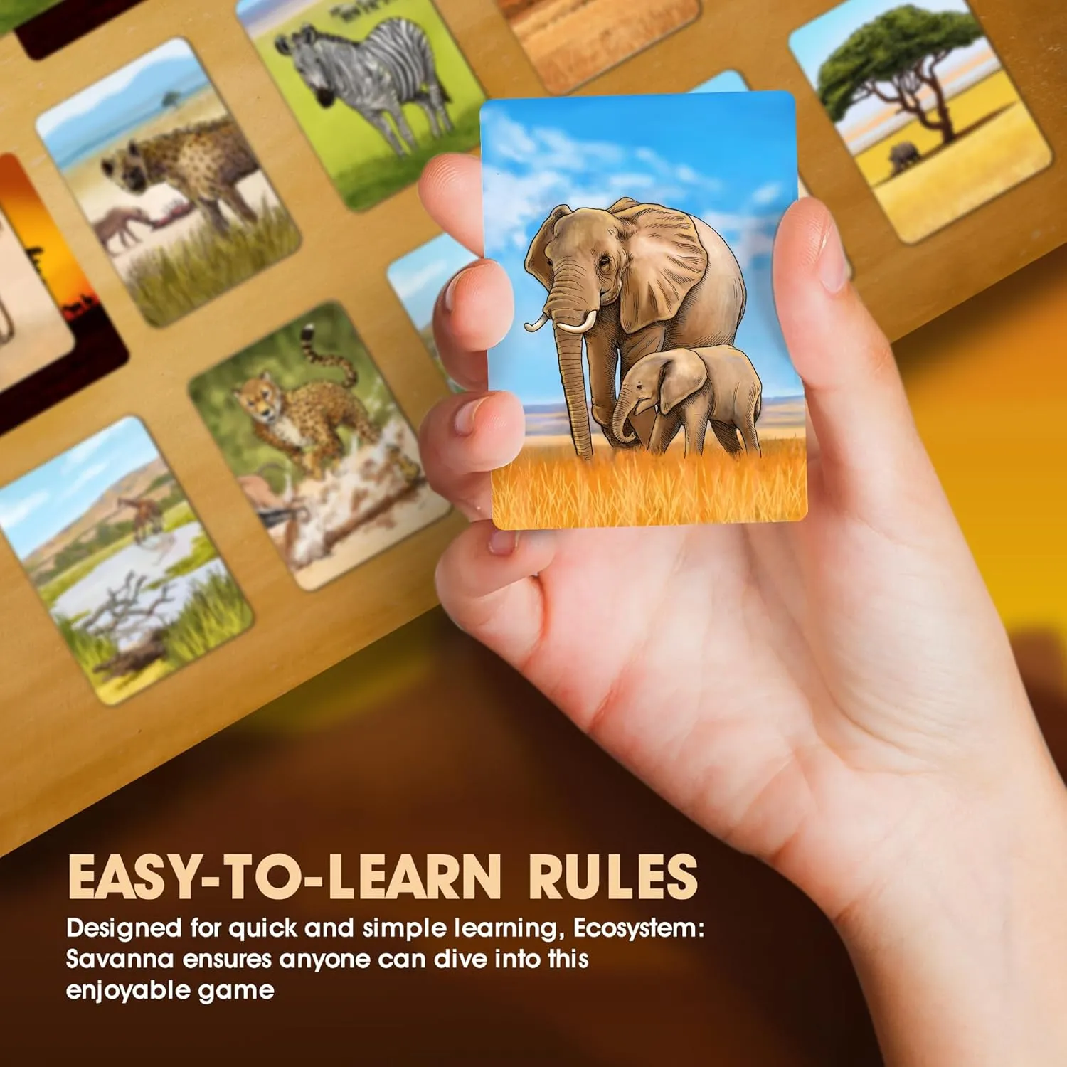 Genius Games Ecosystem Savanna Kartenspiel Savanne 2-6