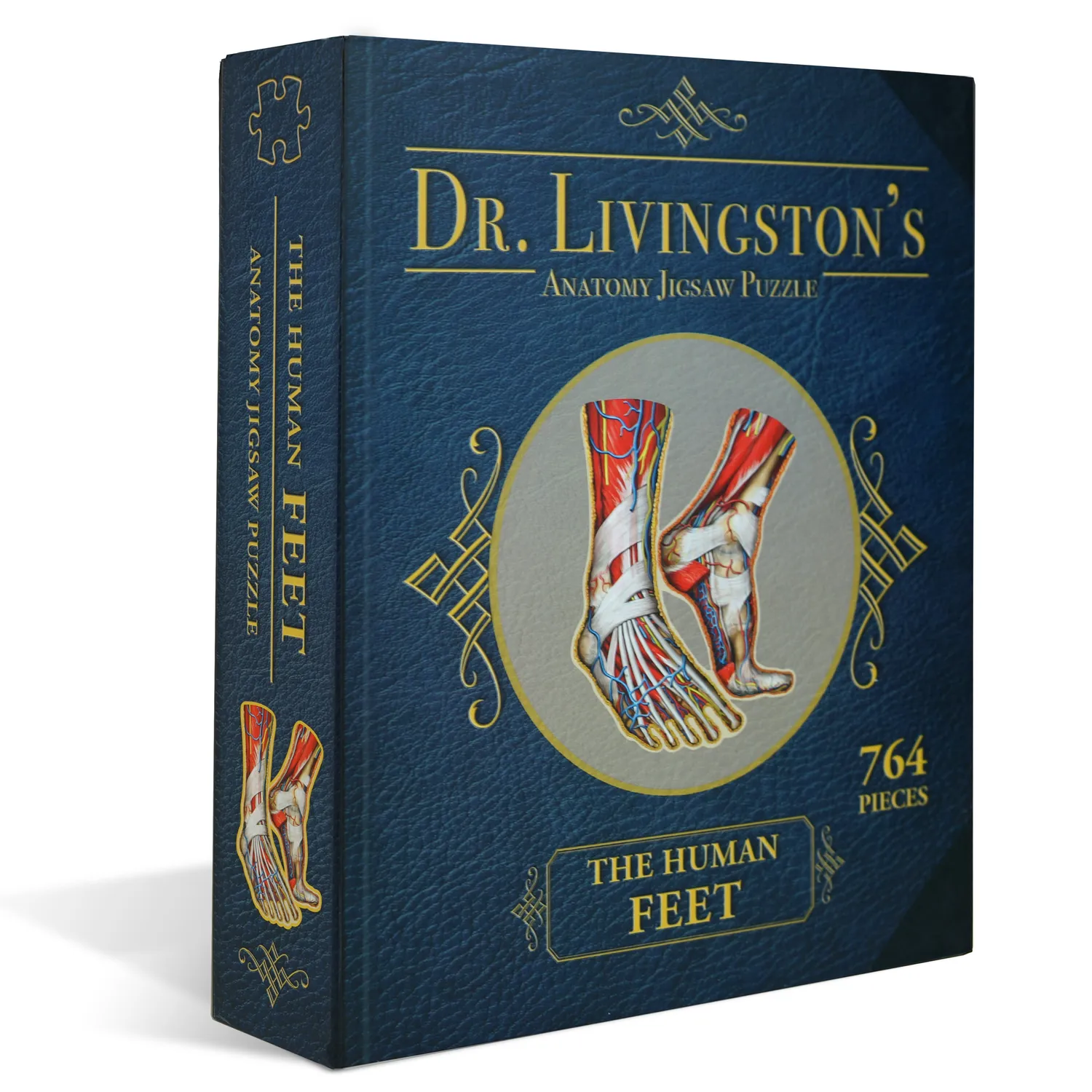 Genius Games Dr Livingston's Füße Anatomie-Puzzle 764 Teile