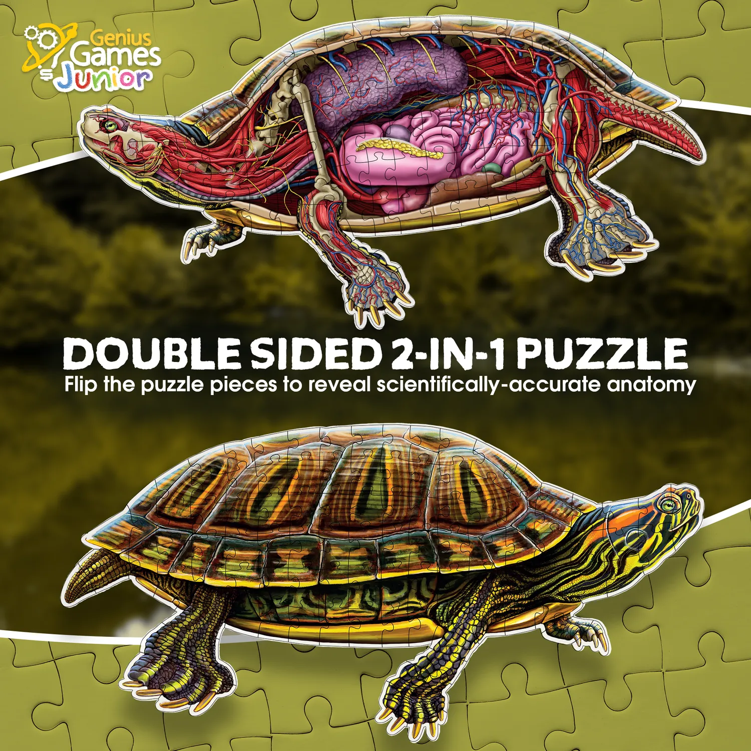 Genius Games Pond Slider Schildkröte Bodenpuzzle 100 Teile 2-seitig