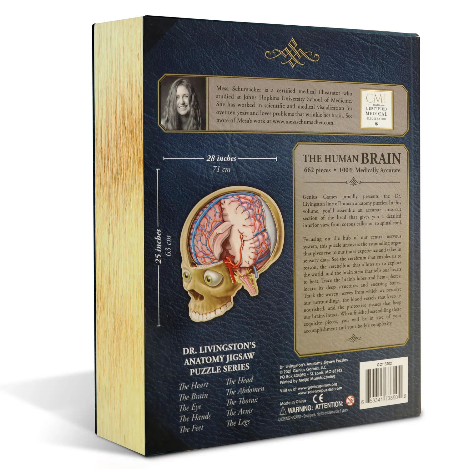 Genius Games Dr. Livingston Gehirn Anatomie Puzzle 662 Teile