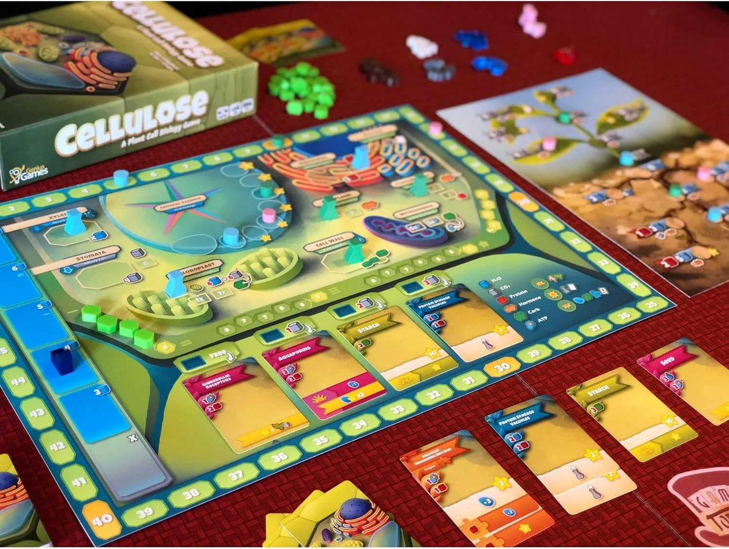Genius Games Cellulose Brettspiel Pflanzenzelle Strategie 1-5