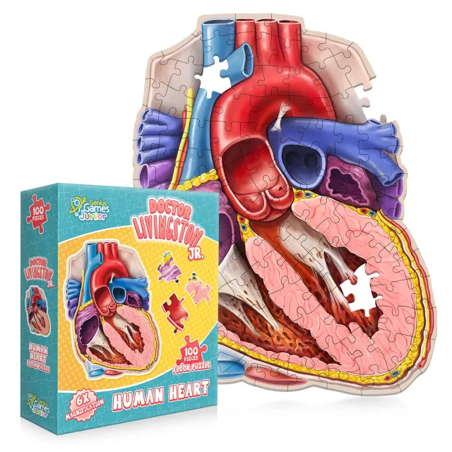 Genius Games Dr. Livingston Herz Bodenpuzzle 100 Teile Anatomie