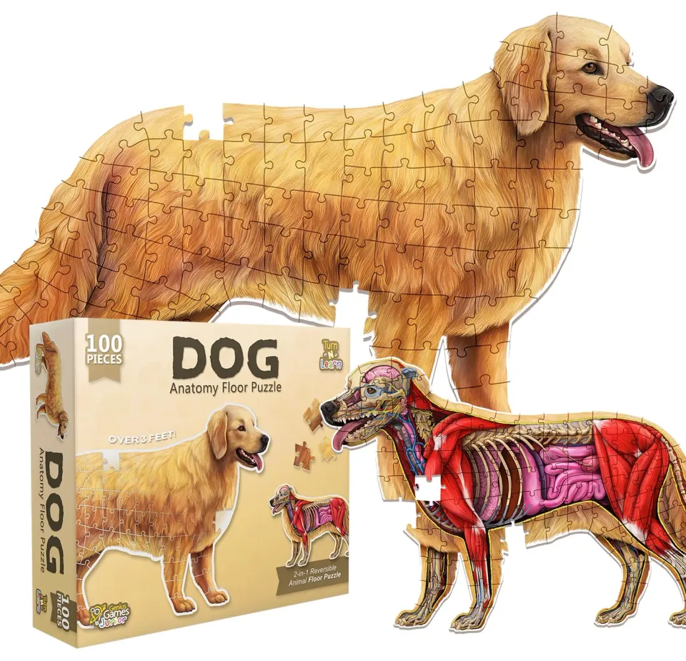 Genius Games Turn N Learn Hund Bodenpuzzle 100 Teile