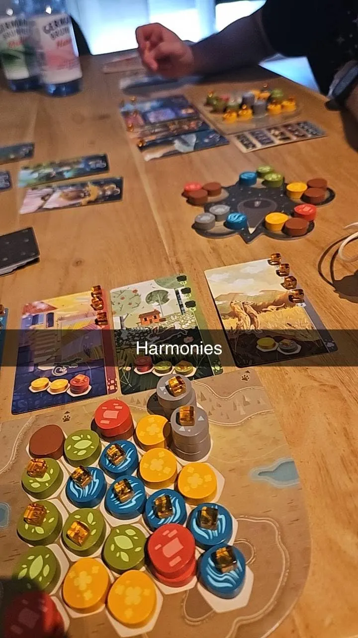 Asmodee Harmonies Brettspiel Deutsch Tier-Landschaften