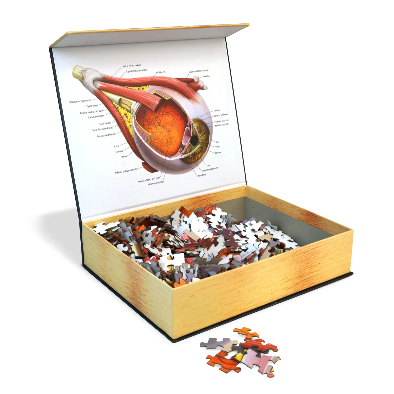 Genius Games Dr. Livingston Human Eye Puzzle 544 Teile