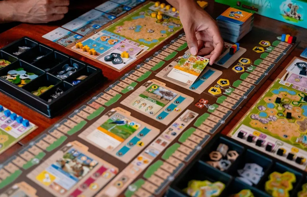 Capstone Games Ark Nova Brettspiel Basisspiel Zoo-Strategie