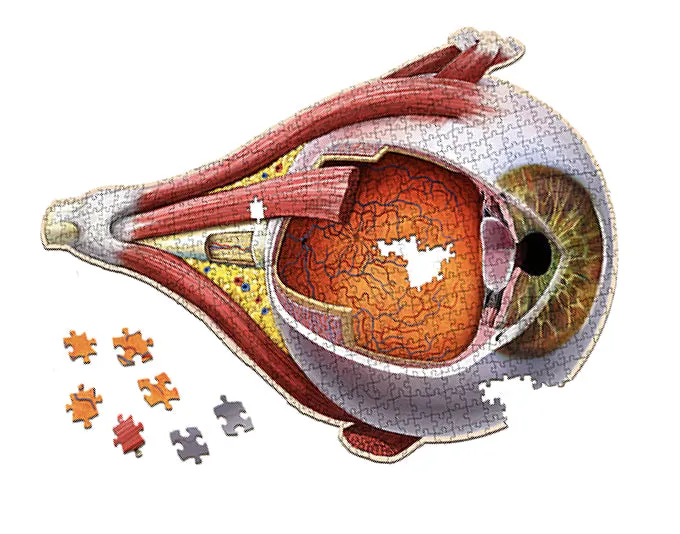 Genius Games Dr. Livingston Human Eye Puzzle 544 Teile