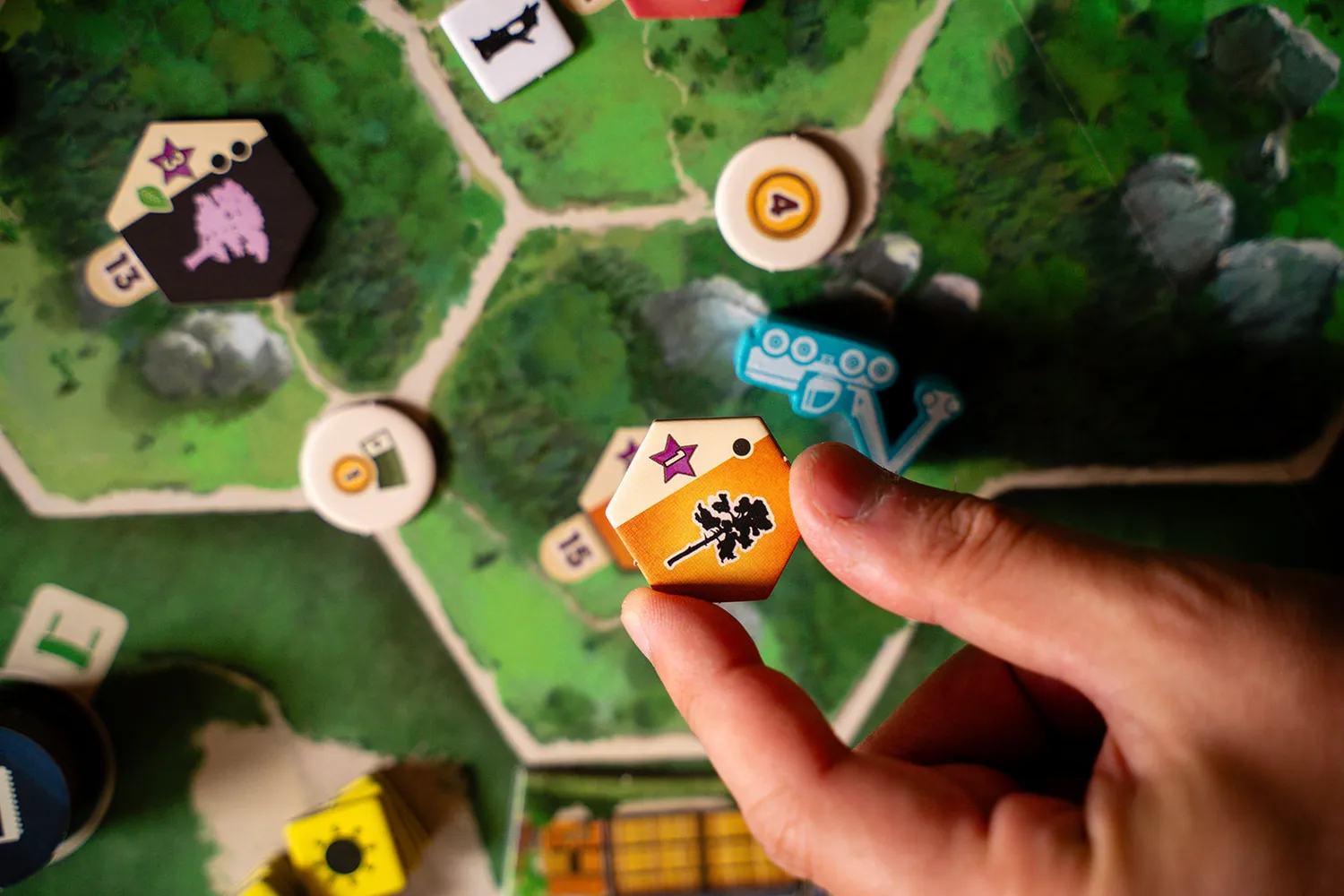 Capstone Games Forestry Brettspiel Strategiespiel