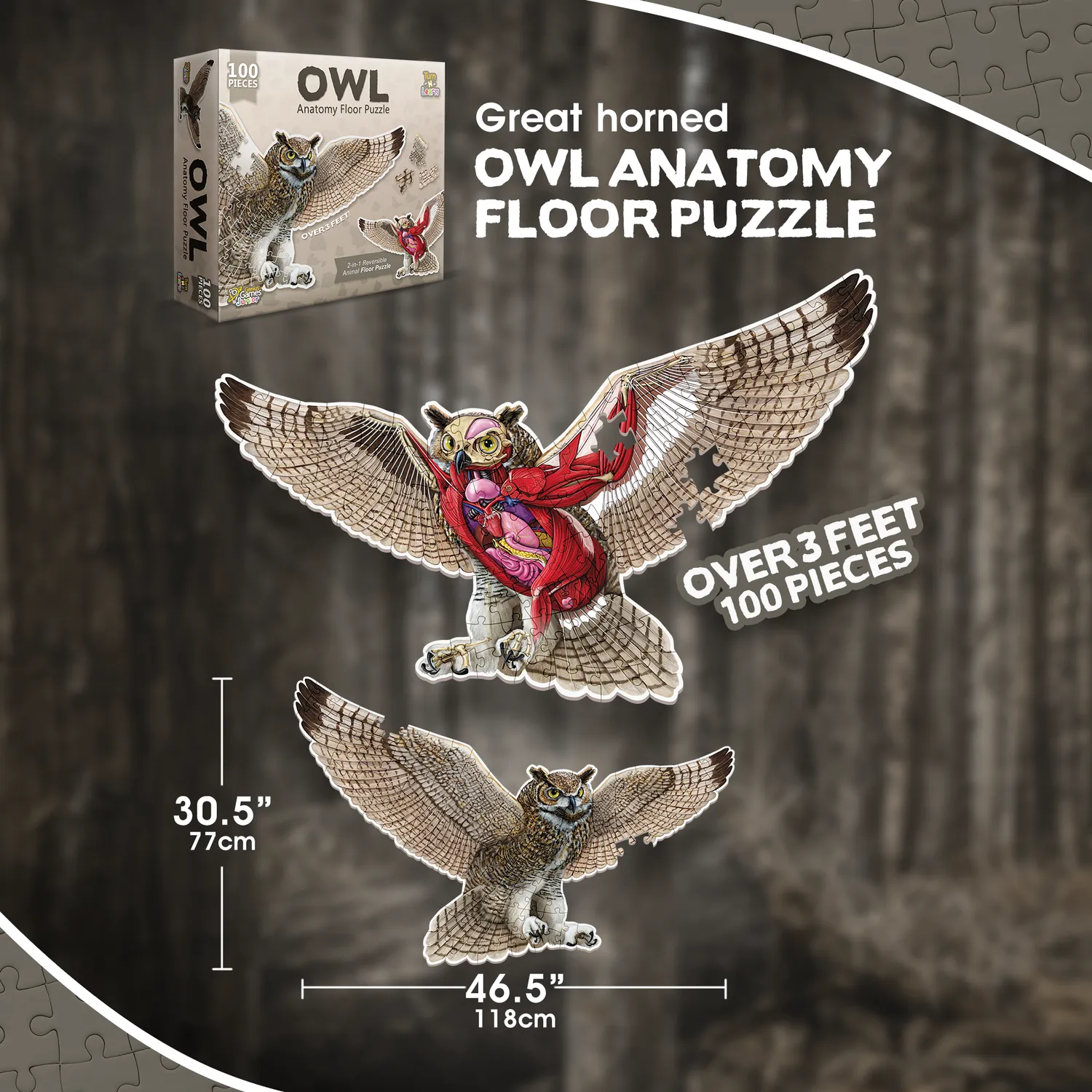 Genius Games Turn N Learn Eule Bodenpuzzle 100 Teile doppelseitig