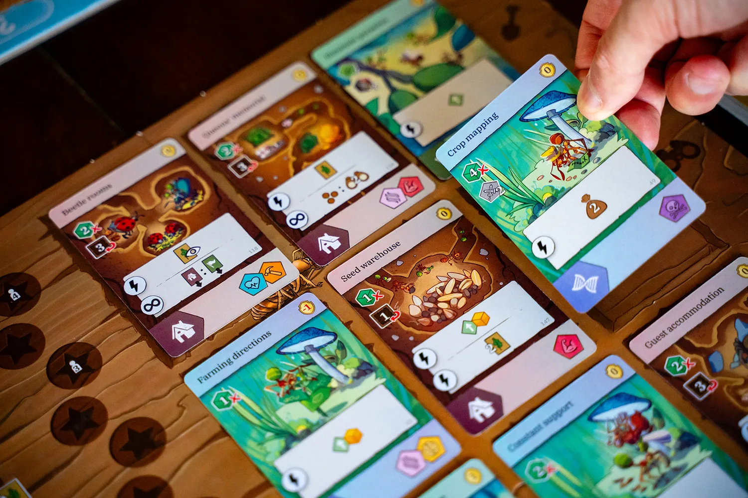 Capstone Games ANTS Brettspiel Strategiespiel deutsche Ausgabe