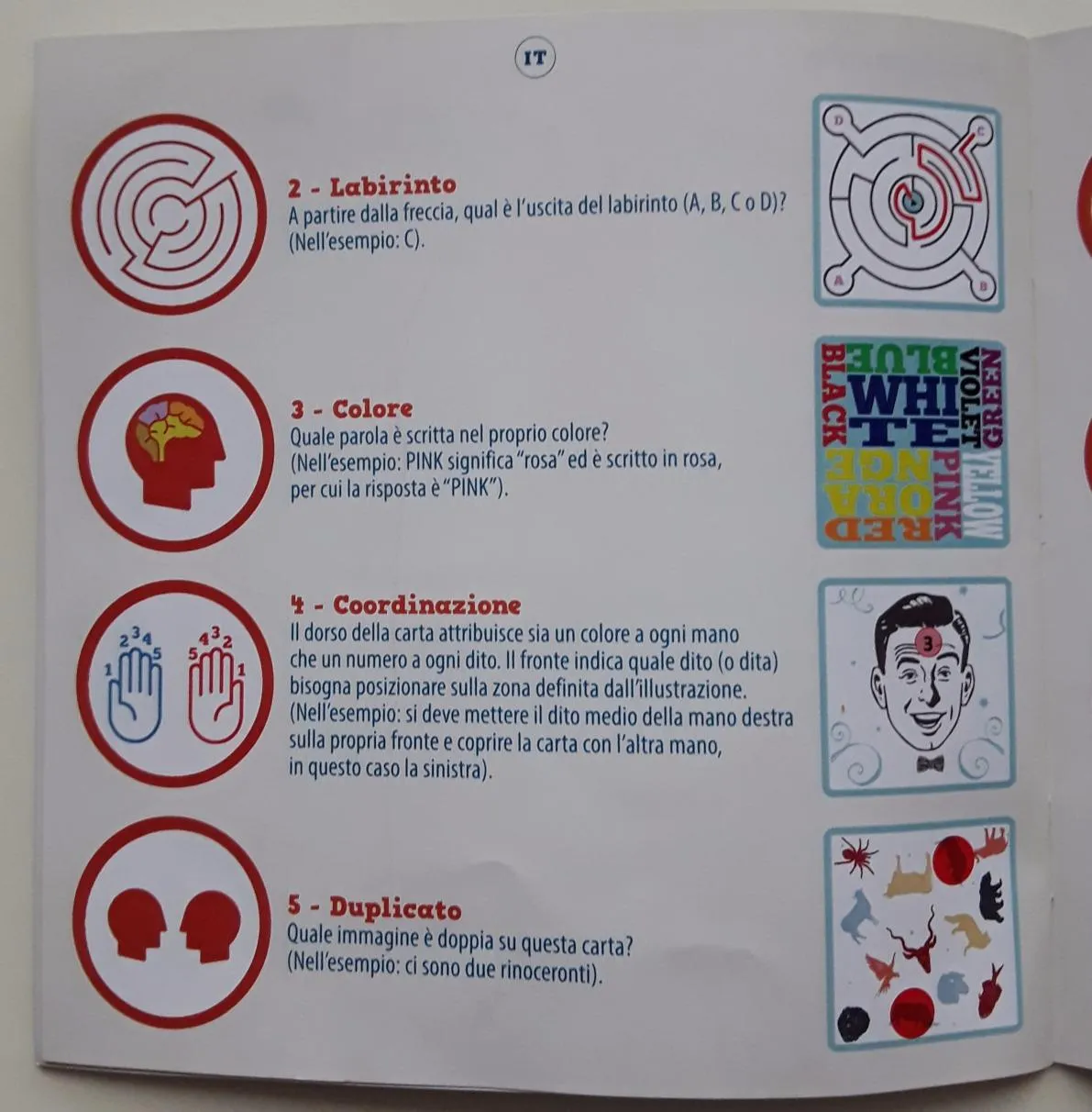 Zygomatic Cortex Challenge original Partyspiel türkis 2-6 Spieler