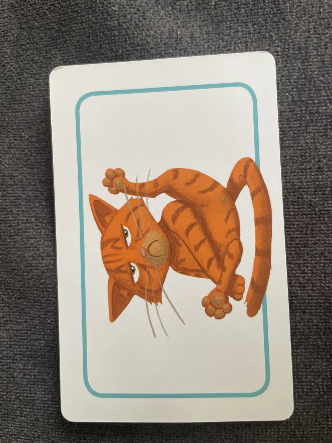 Asmodee Concept Kids Tiere Kinderspiel Tiere raten