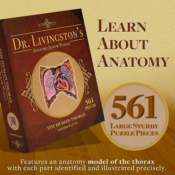 Genius Games Dr Livingston Thorax Anatomie-Puzzle 561 Teile