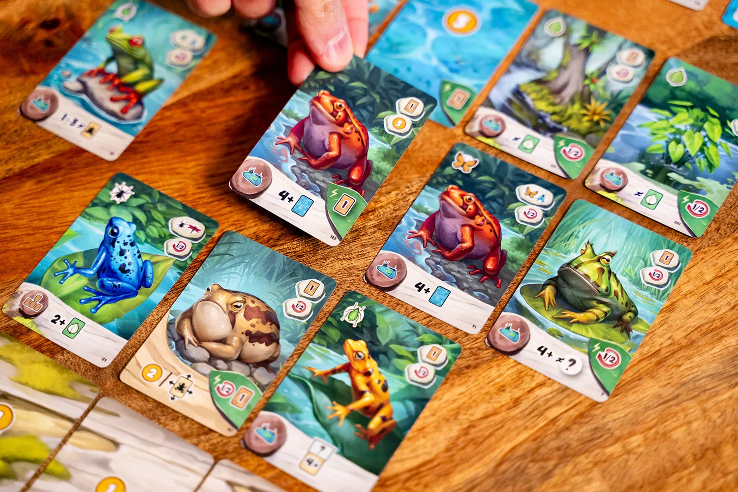 Capstone Pondscape Kartenspiel Frosch-Teich 1-4 Spieler