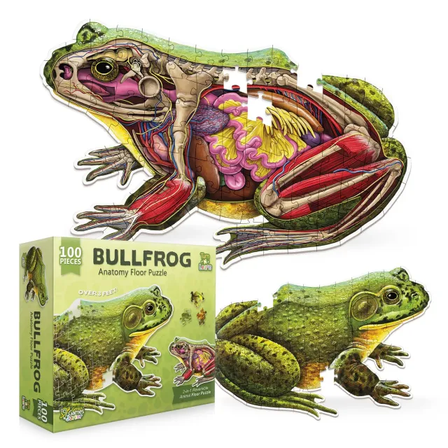 Genius Games Ochsenfrosch Bodenpuzzle 100 Teile Anatomie
