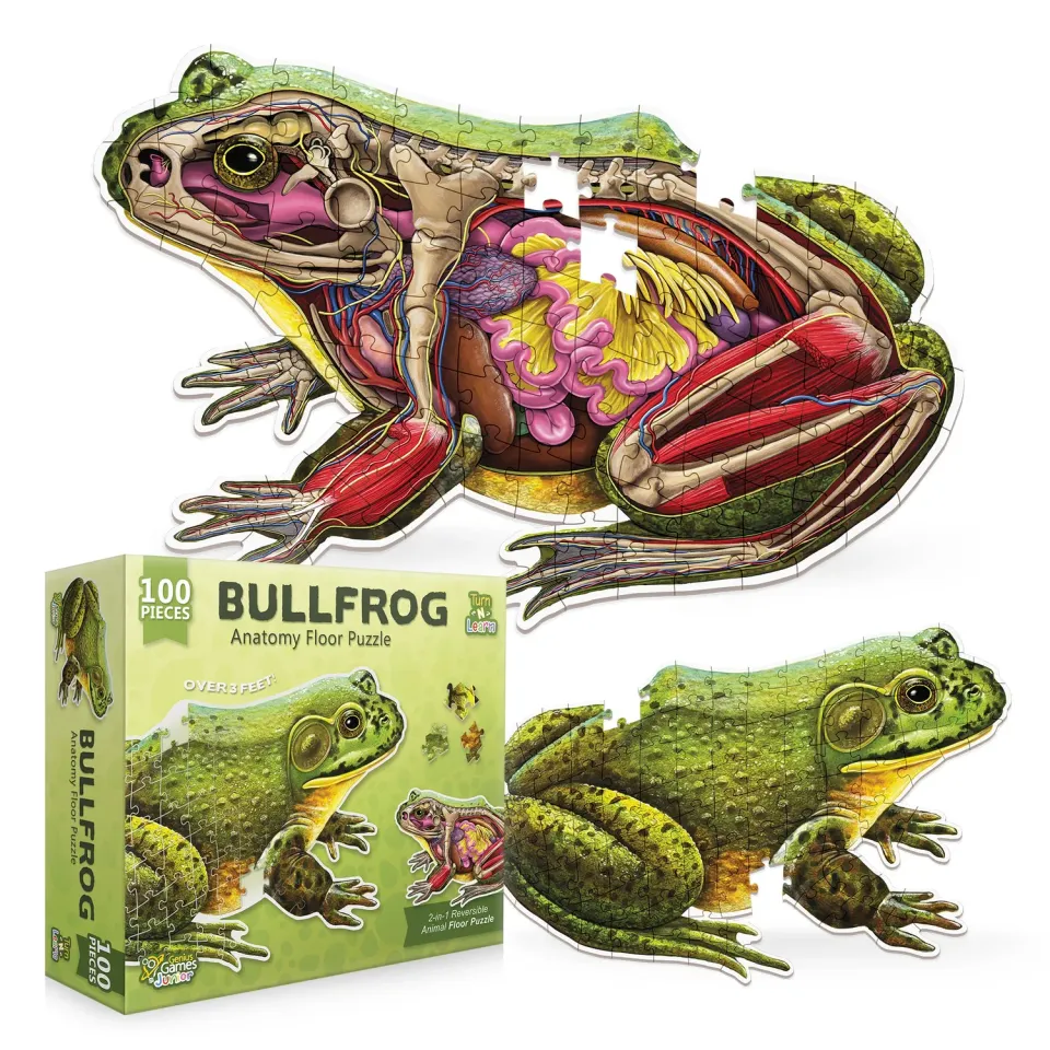 Genius Games Ochsenfrosch Bodenpuzzle 100 Teile Anatomie