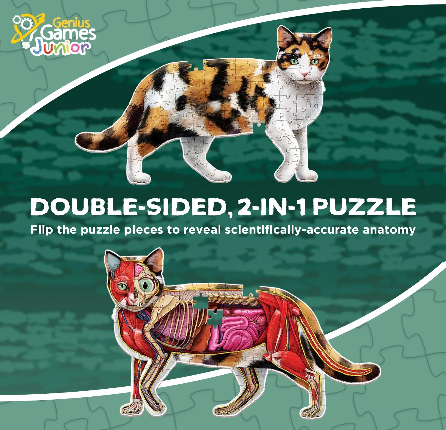 Genius Games Turn N Learn Katze Hund Bodenpuzzle 2x100 Teile