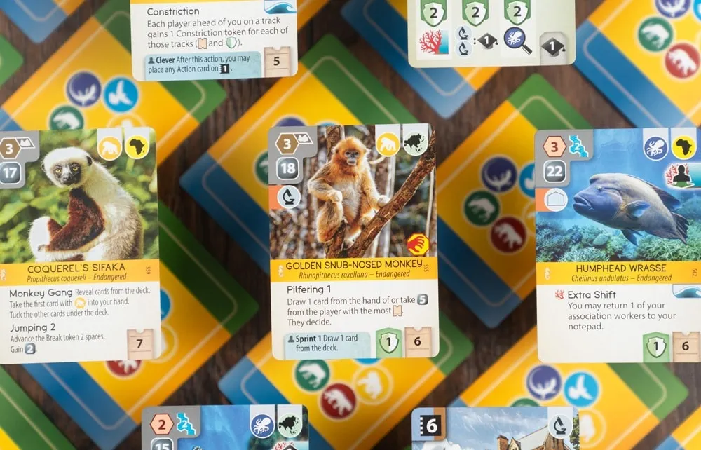Capstone Games Ark Nova Marine Worlds Erweiterung Aquarium