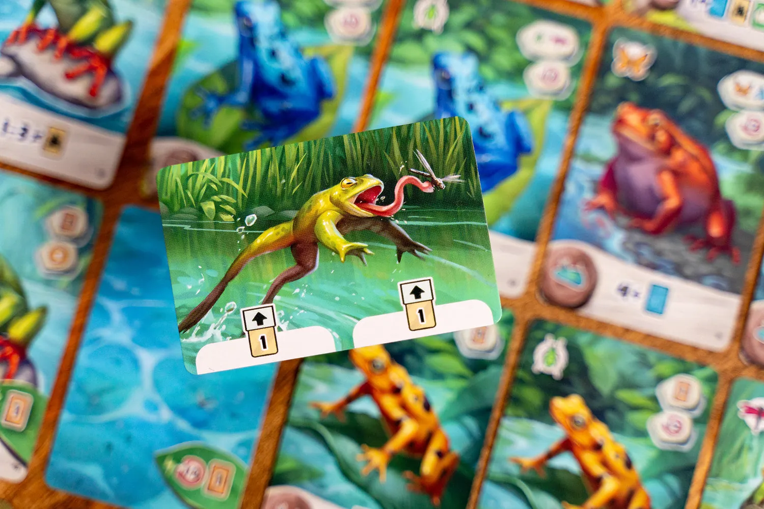 Capstone Pondscape Kartenspiel Frosch-Teich 1-4 Spieler