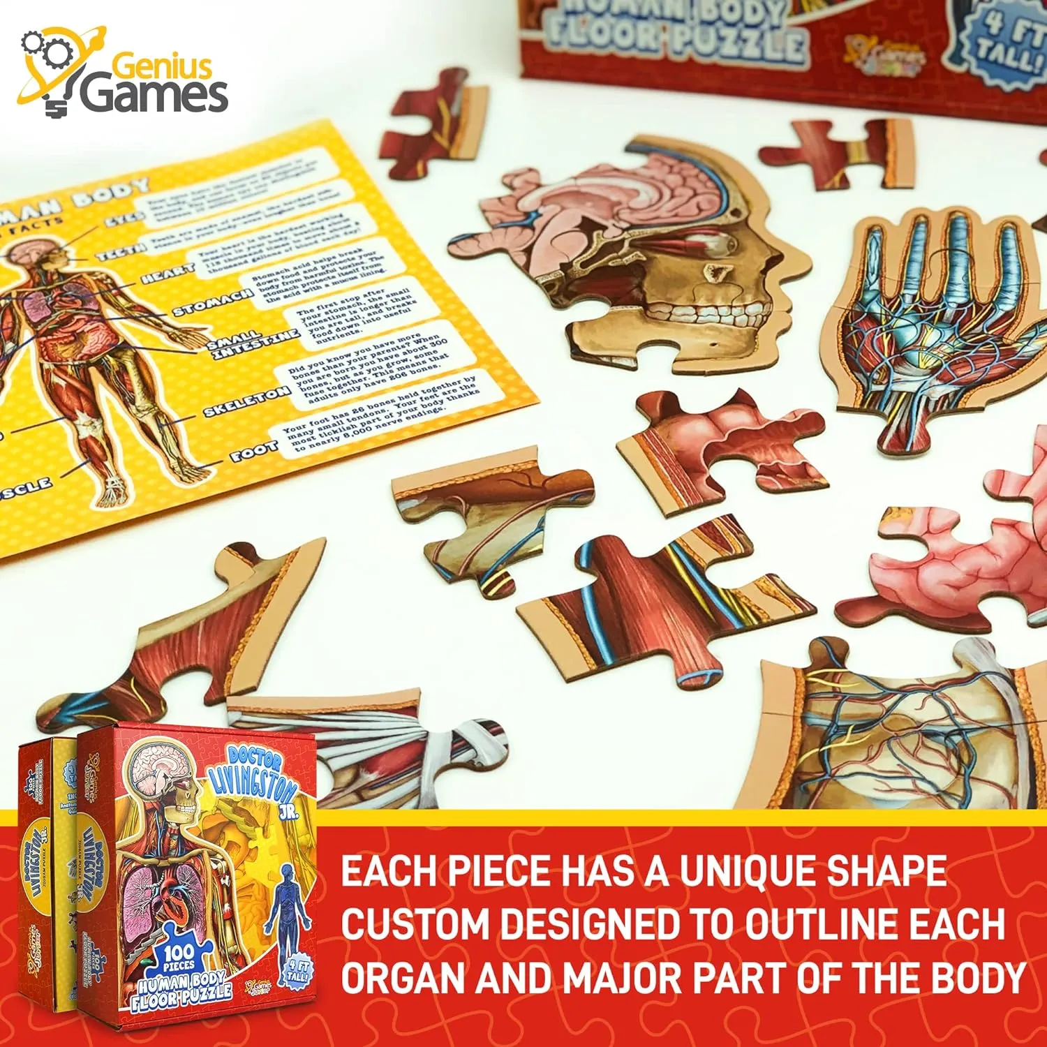 Genius Games Dr Livingston's Jr Human Body Bodenpuzzle 100 Teile
