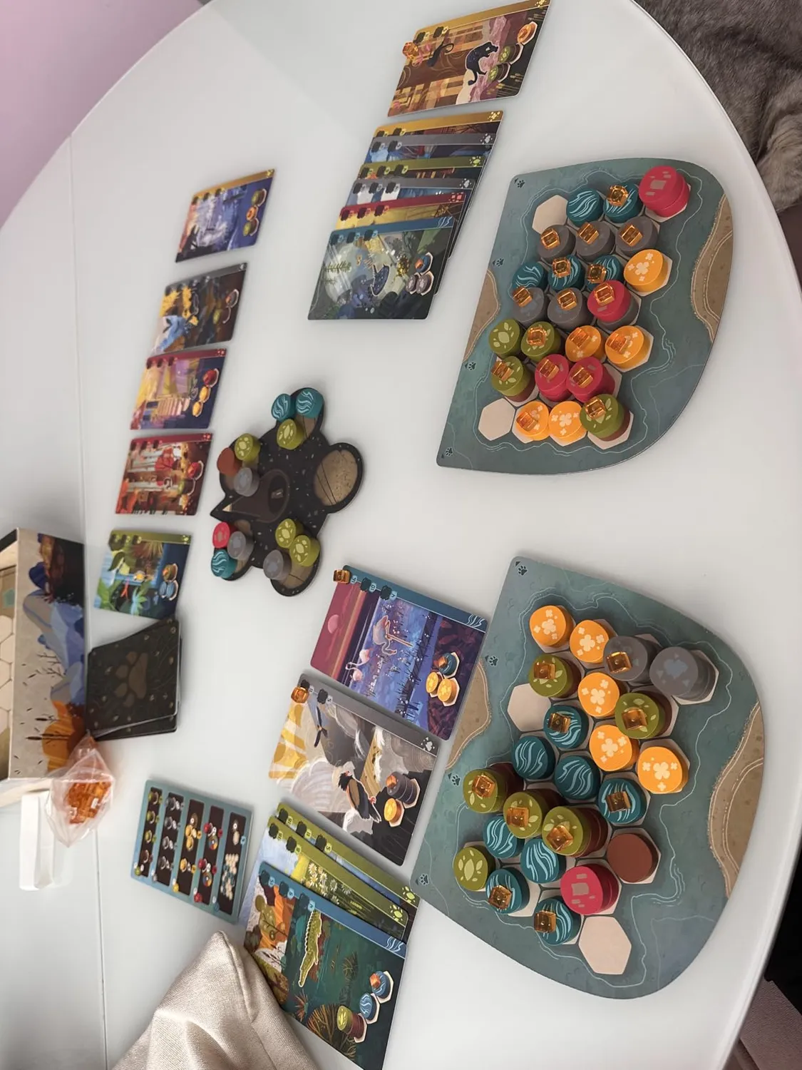 Asmodee Harmonies Brettspiel Deutsch Tier-Landschaften