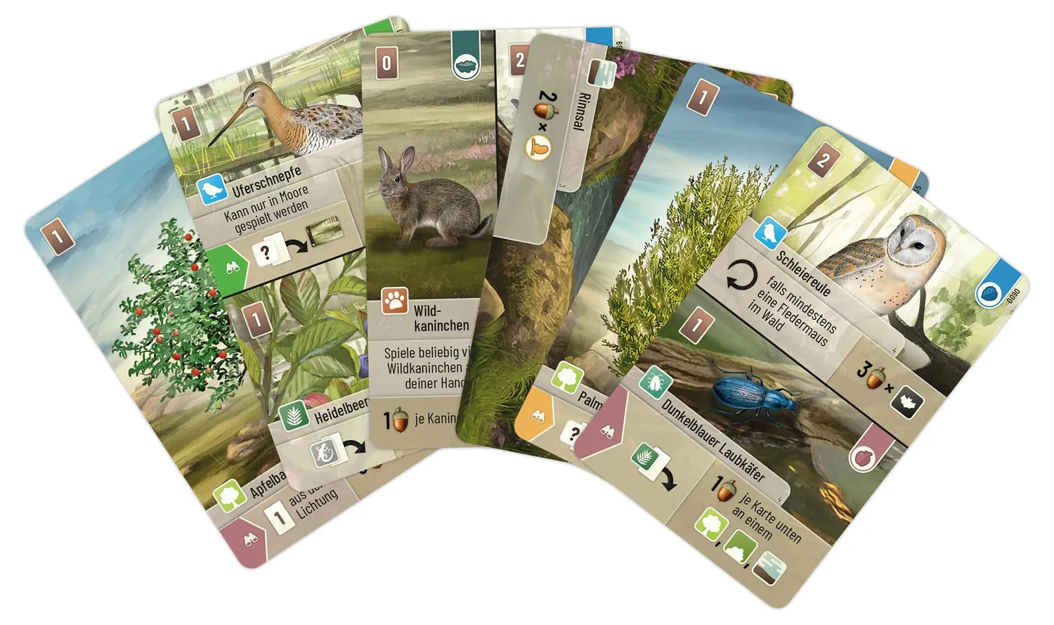 Asmodee Mischwald Dartmoor Grundspiel Kennerspiel deutsch