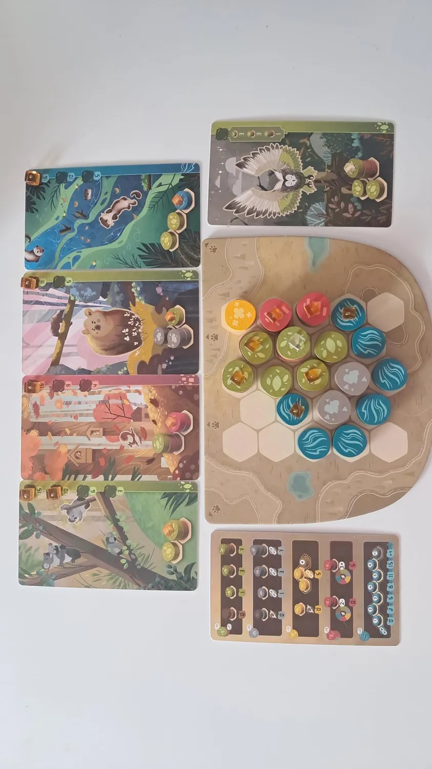 Asmodee Harmonies Brettspiel Deutsch Tier-Landschaften