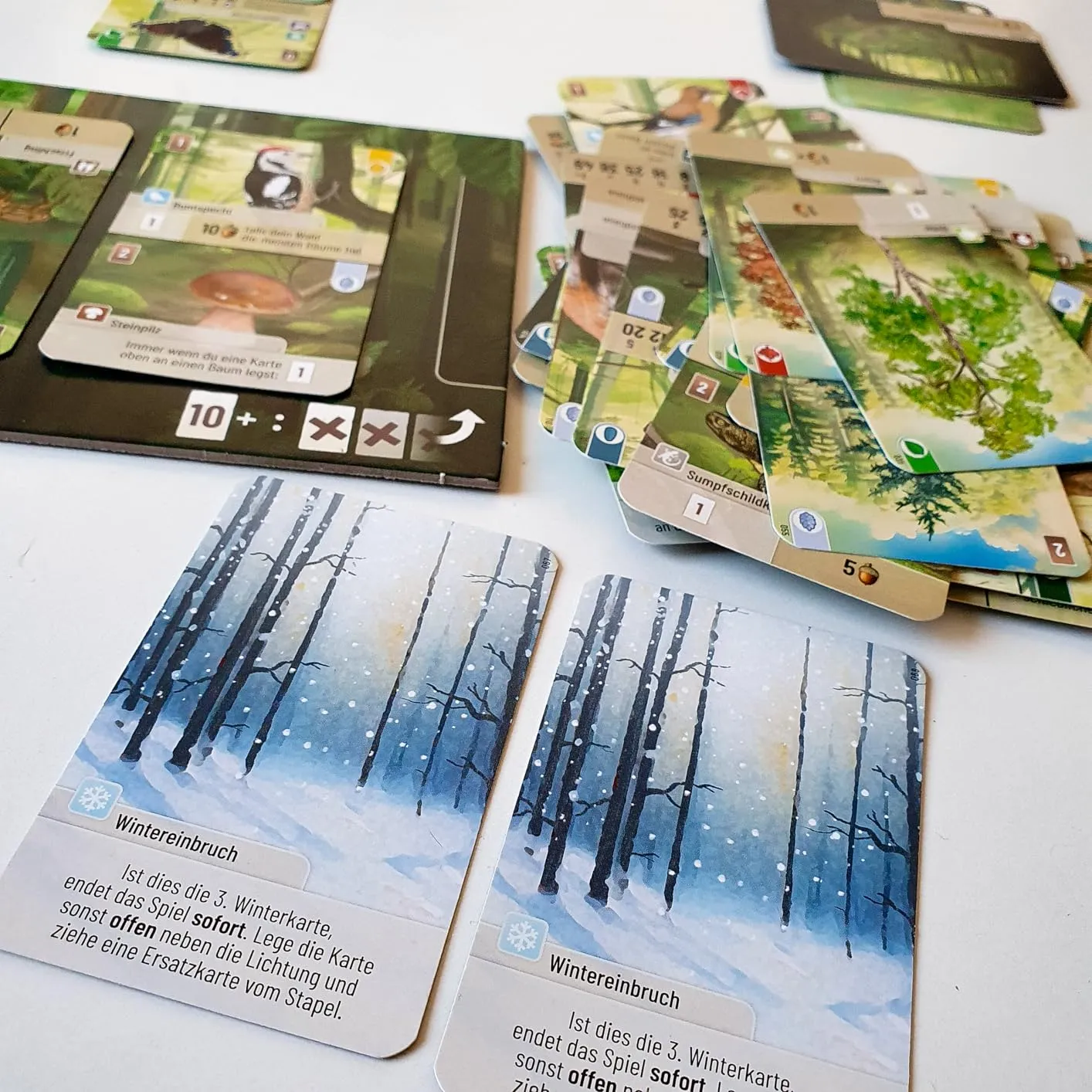 Asmodee Mischwald Grundspiel Familienspiel Deutsch