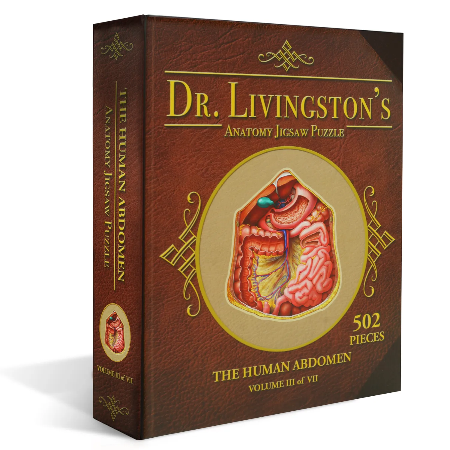 Genius Games Dr Livingston's Abdomen Anatomie-Puzzle 511 Teile