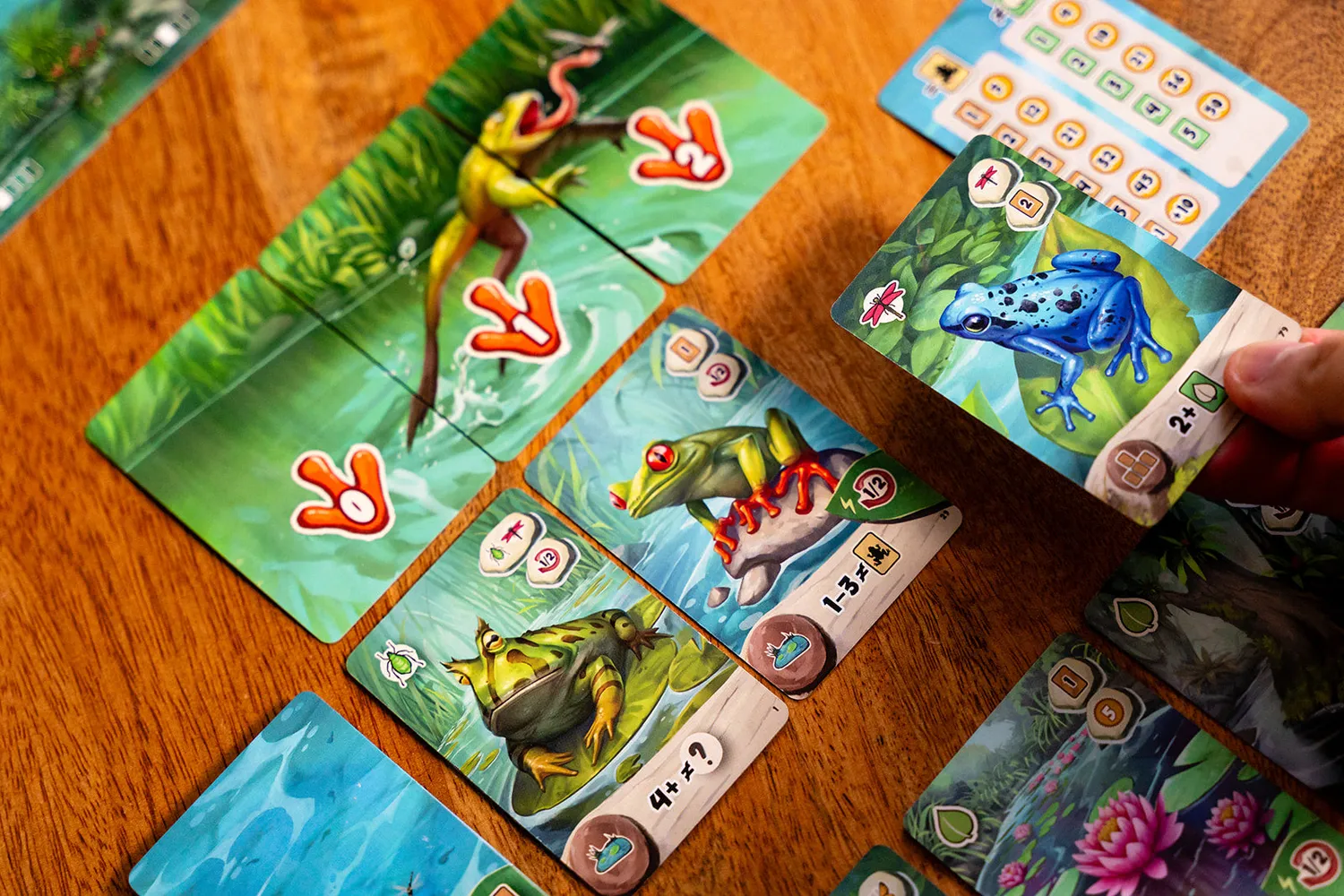 Capstone Pondscape Kartenspiel Frosch-Teich 1-4 Spieler